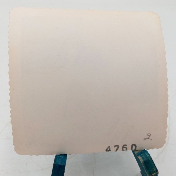 Black Sheep Lamb Photograph Picture Mom Baby Barn Barnyard Candid Photo - Picture 5 of 5